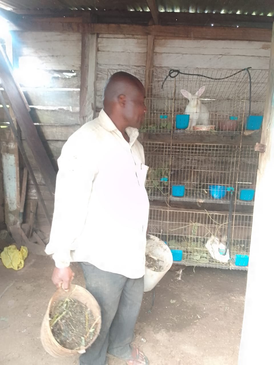Manure collection